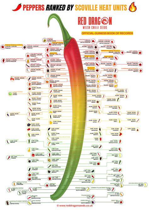 hot peppers ranked|hot peppers ranked by hotness.